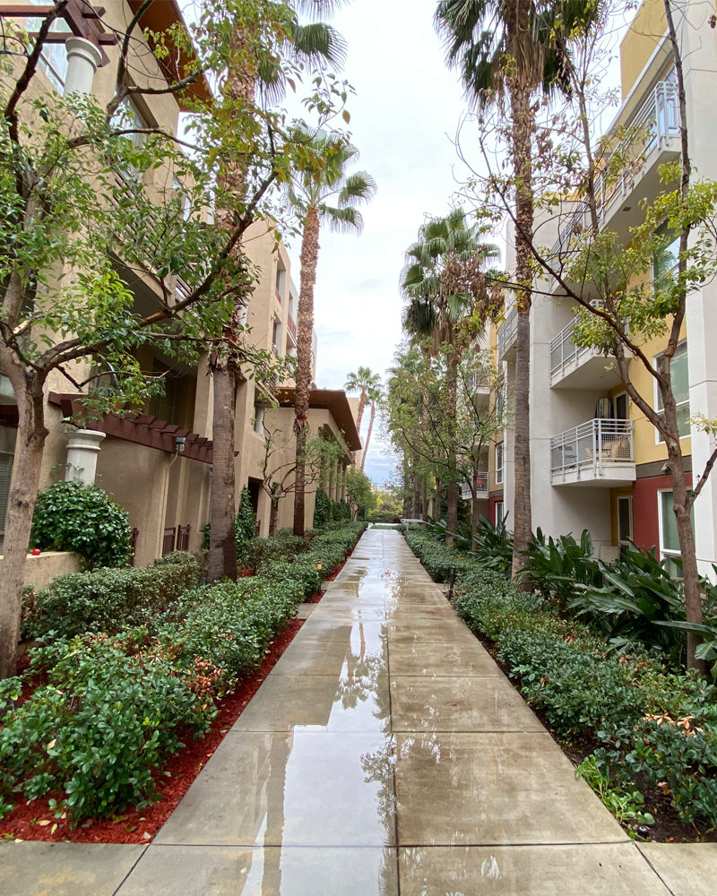 Courtyard between two low-rise condo buildings