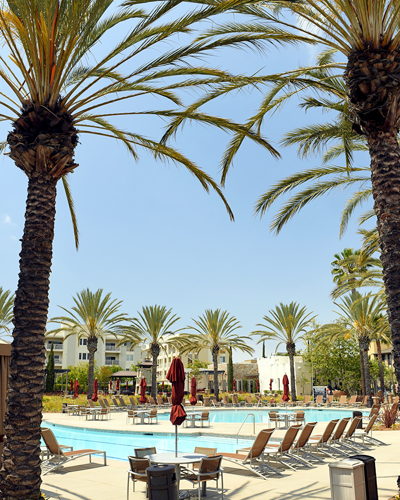 Looking at Low-rise condos of Three Sixty at South Bay through palm trees and pool